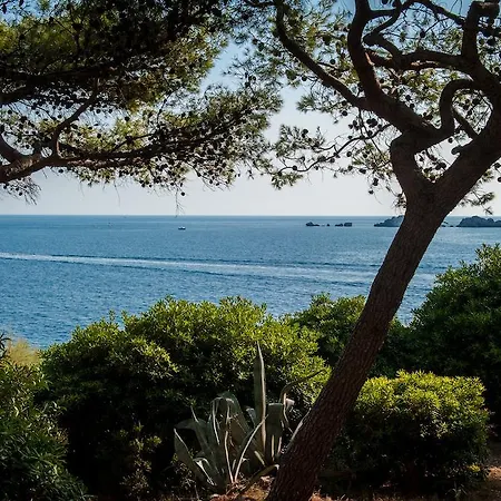 酒店 Royal Ariston 5*